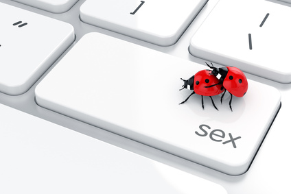שתי חיפושיות על מקלדת והמילה סקס