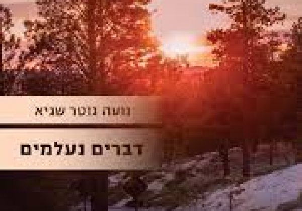 “דברים נעלמים”- נועה גוטר שגיא